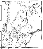 s_f01.gif (6350 bytes)