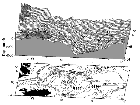 s_f02.gif (5972 bytes)