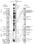 s_f04.gif (5898 bytes)