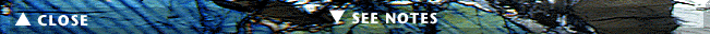Navigation Bar