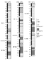 04_f21s.gif (2188 bytes)