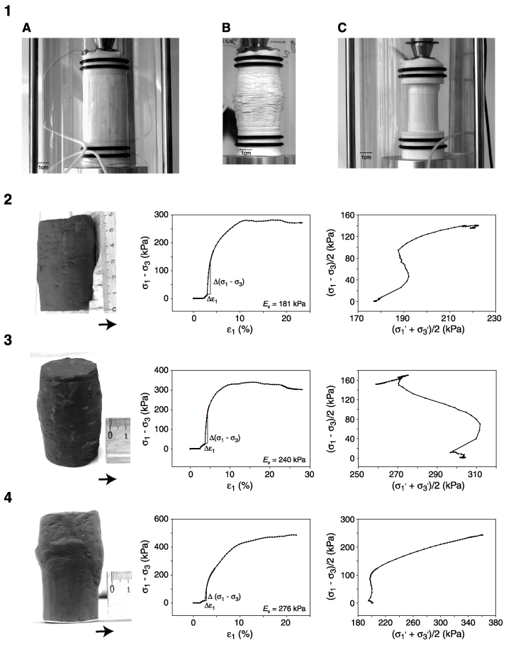 Plate P1. Photographs of samples after testing and measurement results