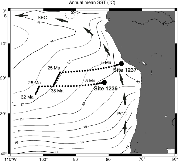 The Peru Current