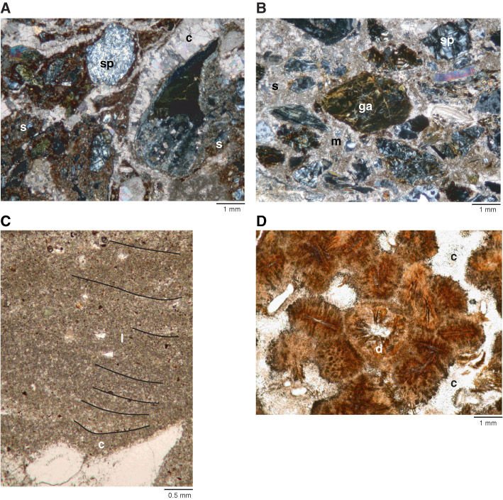 Figure F Photomicrographs Of Thin Sections From The Volcanicsedimentary Succession Unit