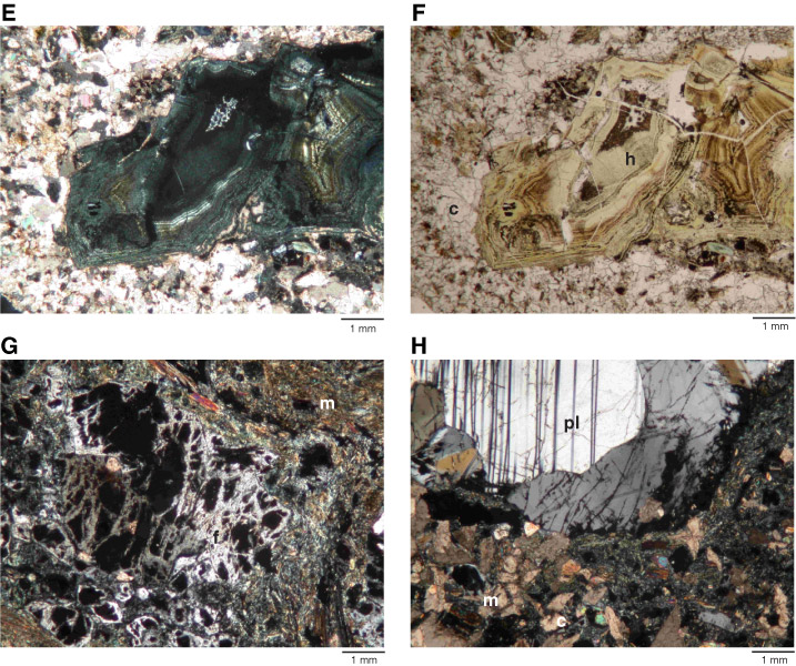 Figure F Photomicrographs Of Thin Sections From The Volcanicsedimentary Succession Unit